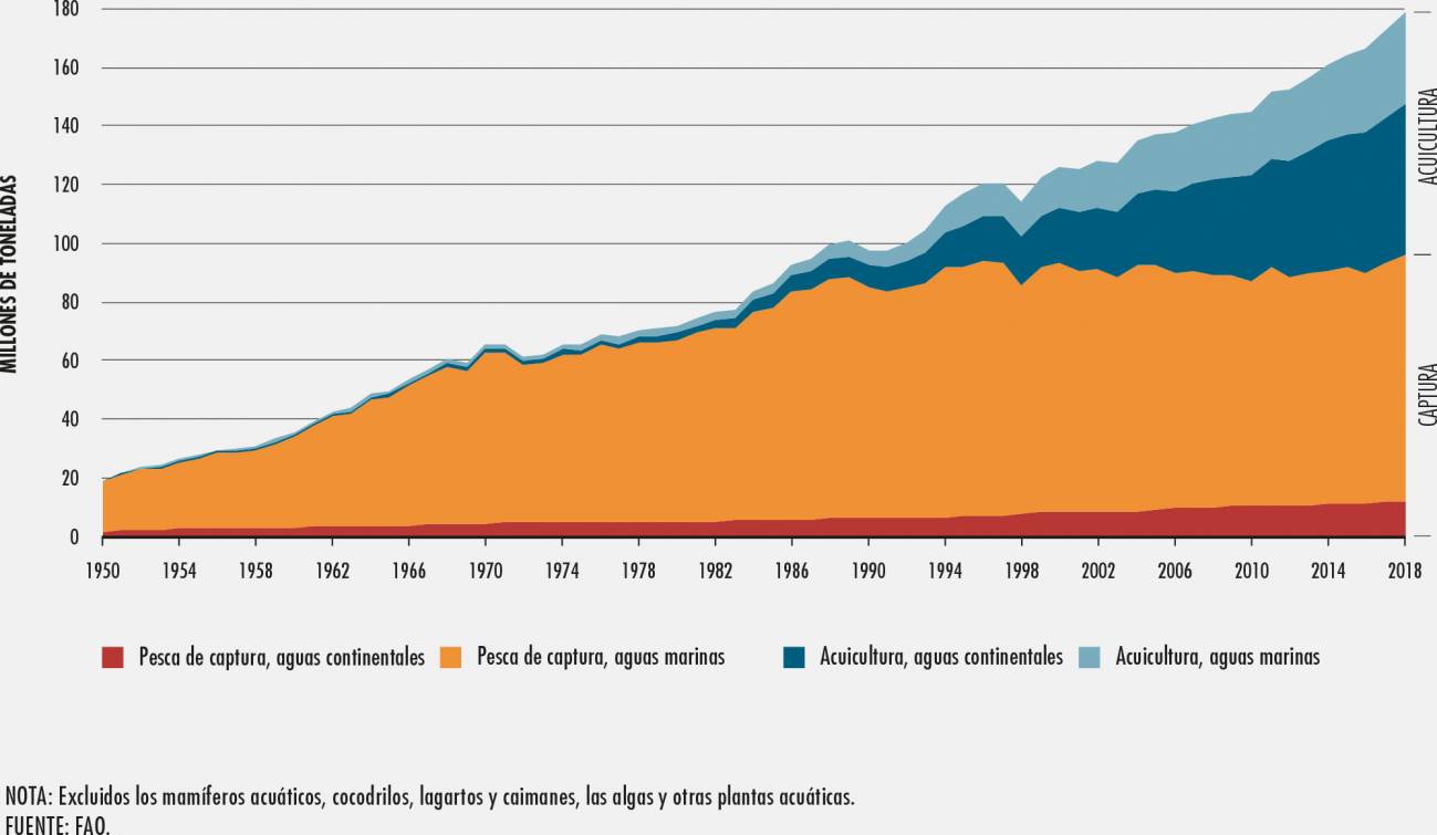 fao producción pesca acuicultura