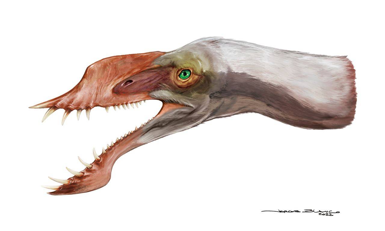 Pterosaurio