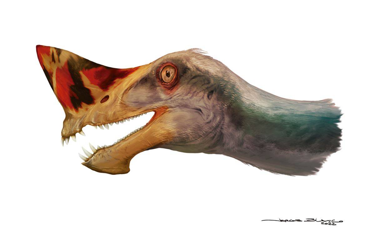 Pterosaurio
