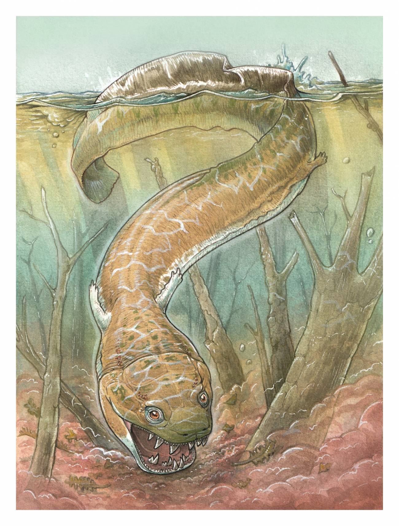Reconstrucción de la vida de 'Gaiasia jennyae'. / Gabriel Lio
