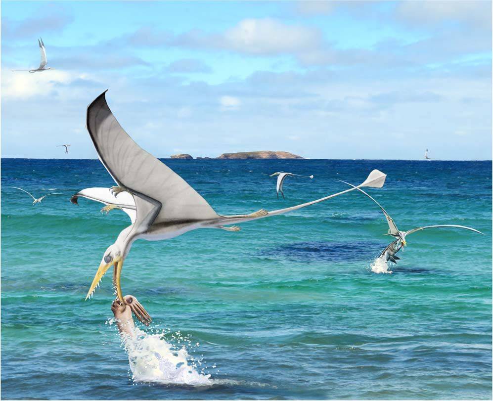 Rhamphorhynchus atrapando a un Plesioteutide. / Wikipedia