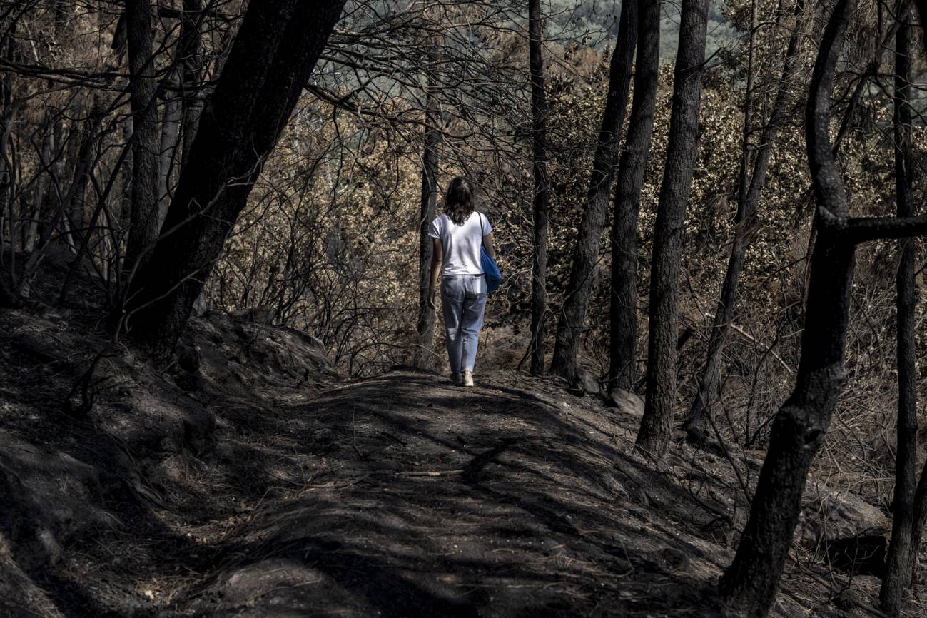 Una persona pasea en el bosque de Ridimoas tras los incendios del pasado agosto. / EFE