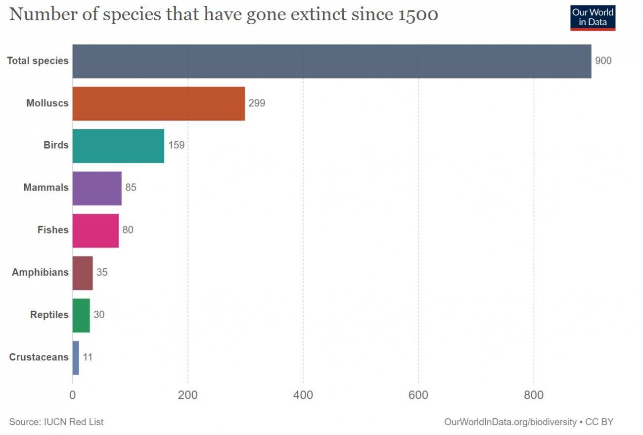Riesgo de extinción de especies