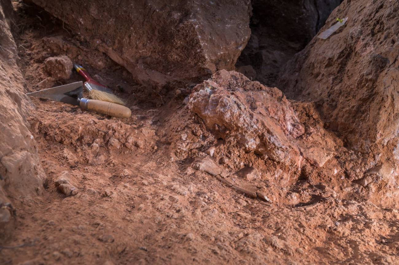 Excavación in situ de restos fósiles en el yacimiento de Ruidera – Los Villares. / Alejandro Muñoz