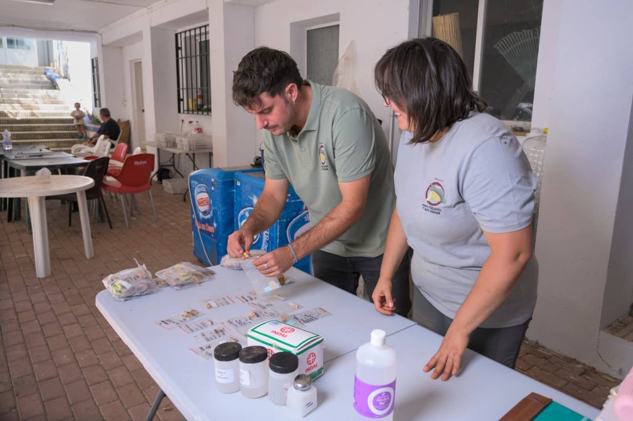 Los codirectores de la excavación, Sara Díaz Pérez y Carlos A. Palancar, revisan los hallazgos de este año en el laboratorio de campo. / Alejandro Muñoz