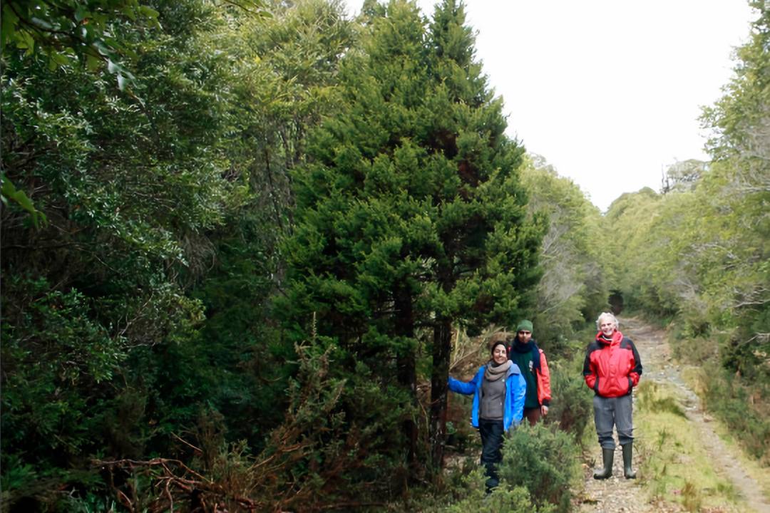 Investigadores de la Facultad de Ciencias Forestales y Recursos Naturales visitan la ruta T-720 en 2015 / Universidad Austral