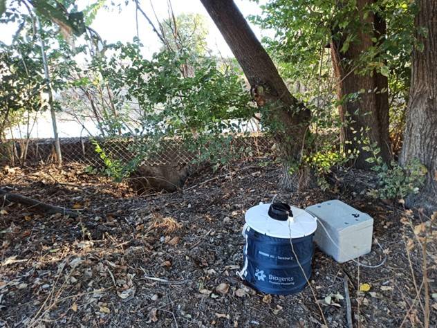Ejemplo de trampa para mosquitos utilizada para el estudio / Josué Martínez de la Puente