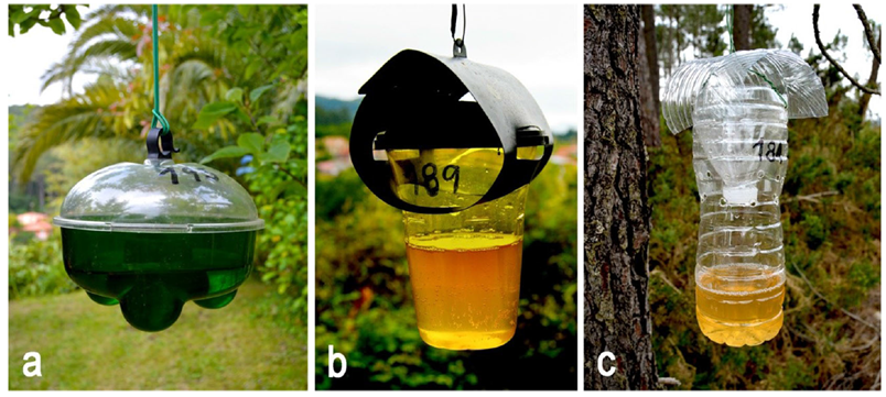 Tres tipos de trampas para velutinas. / Universidad de Vigo
