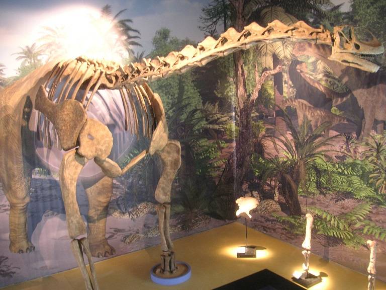 Reconstrucción de un Turisaurus
