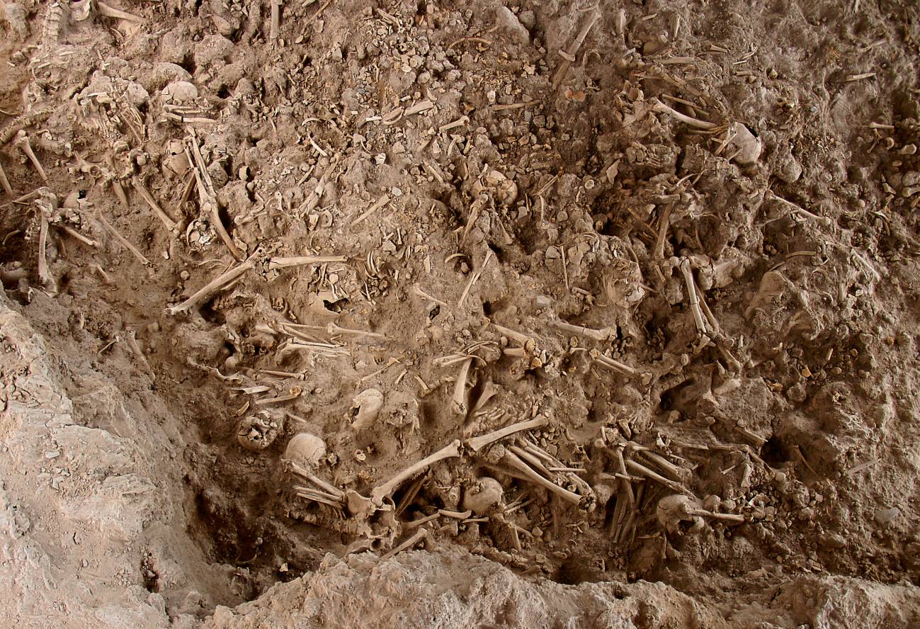 Enterramiento colectivo de la Edad del Cobre de Camino del Molino (Caravaca de la Cruz, Murcia), donde se enterraron unos 1.300 individuos entre los años 2900-2300 ANE. La imagen muestra la última capa de enterramiento, datada entre 2500-2300 ANE, de la que se han analizado seis individuos./ © Universidad de Murcia. Fotografía de Francisco Ramos
