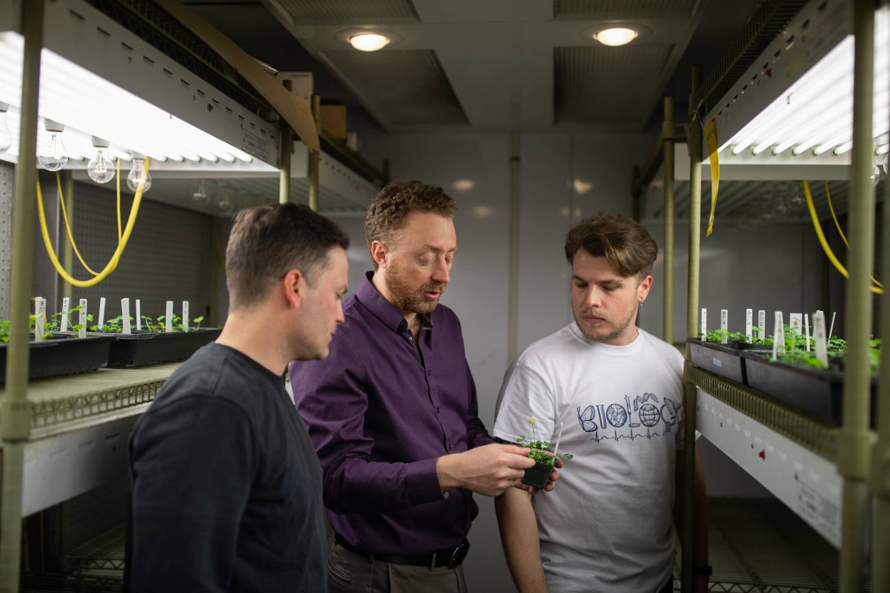 Los profesores de biología de la Universidad de Toronto Mississauga, Rob Ness y Marc Johnson, y el estudiante de doctorado de la UTM James Santangelo. /  Nick Iwanyshyn