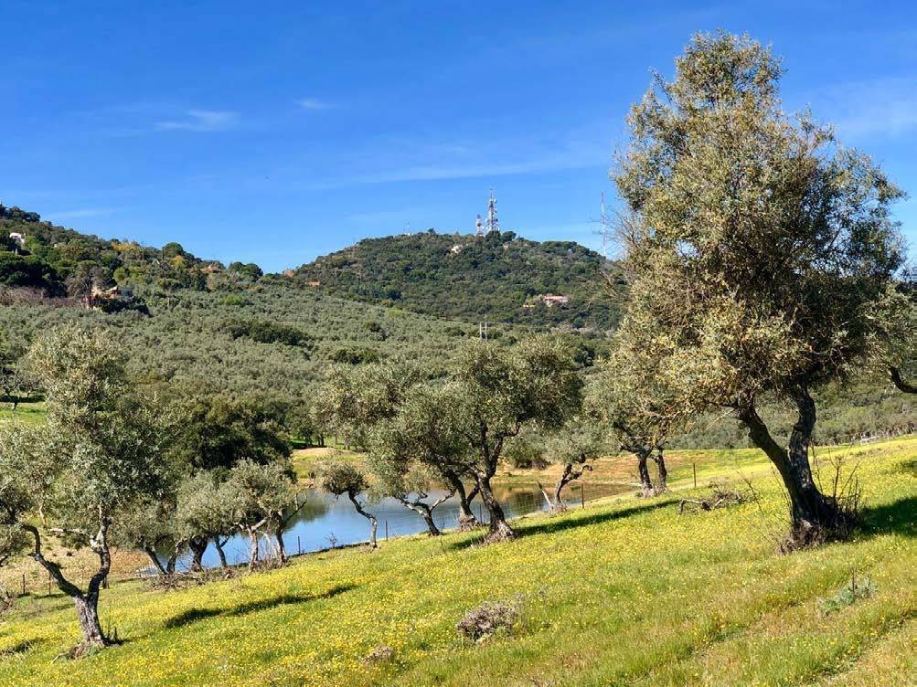 valle valdeflores caceres