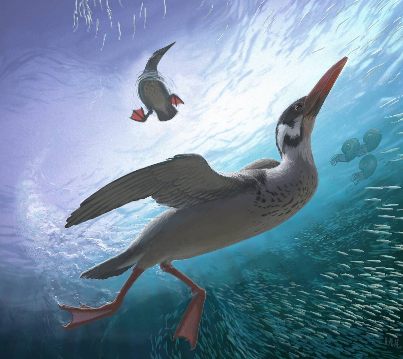 Reconstrucción de 'Vegavis'. / Nature