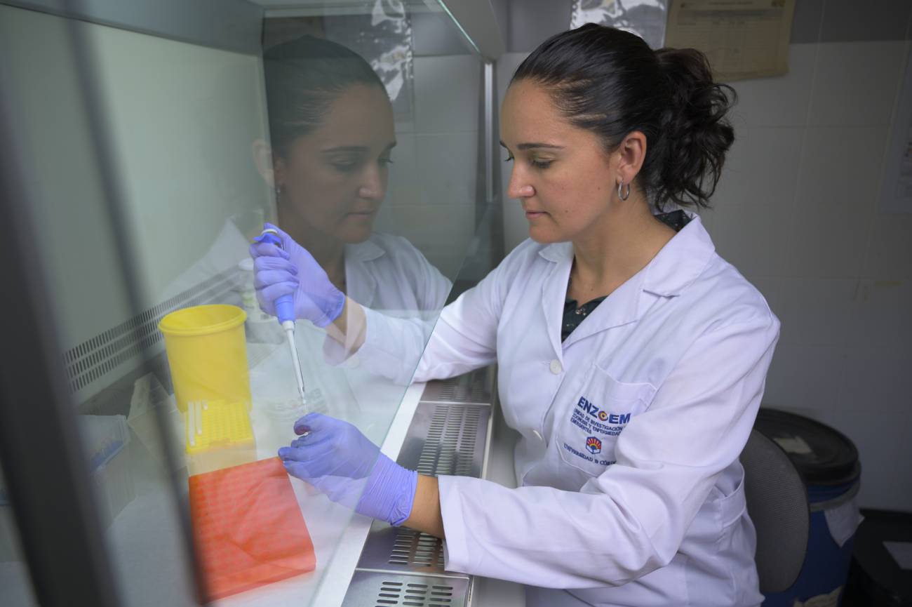 Una vez obtenido el ARN de los mosquitos, se realiza una PCR para detectar la posible presencia del virus del Nilo Occidental en las muestras. / Alejandro Muñoz