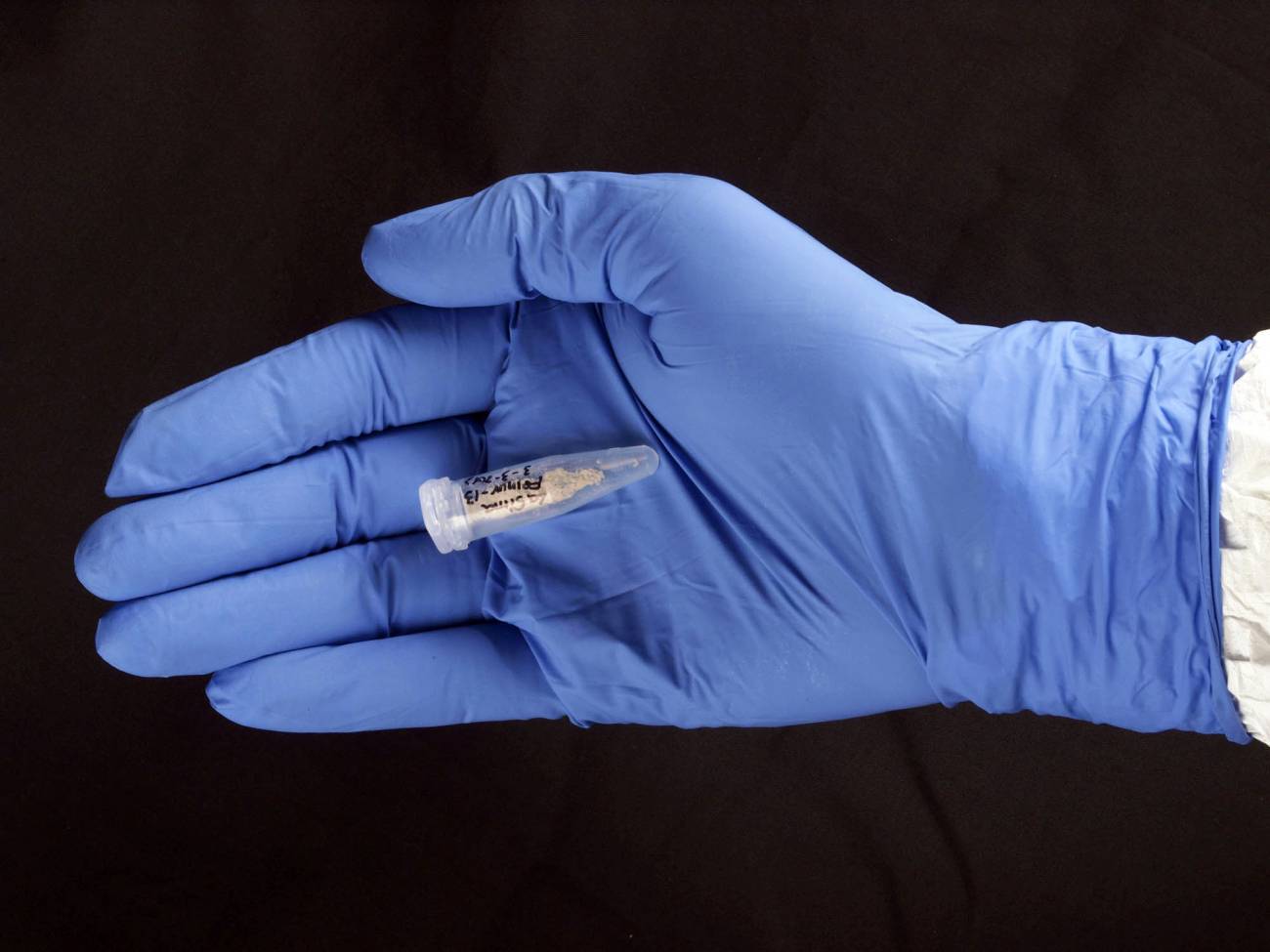 En la imagen, una de las muestras de ADN analizadas. / Madrid Scientific Films