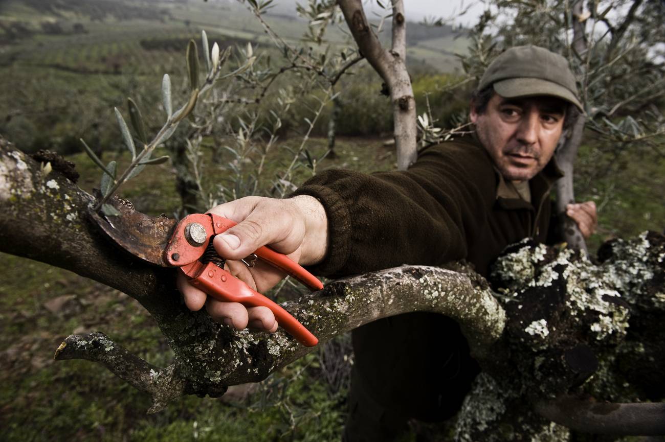 27 historias sobre el impacto del cambio climático