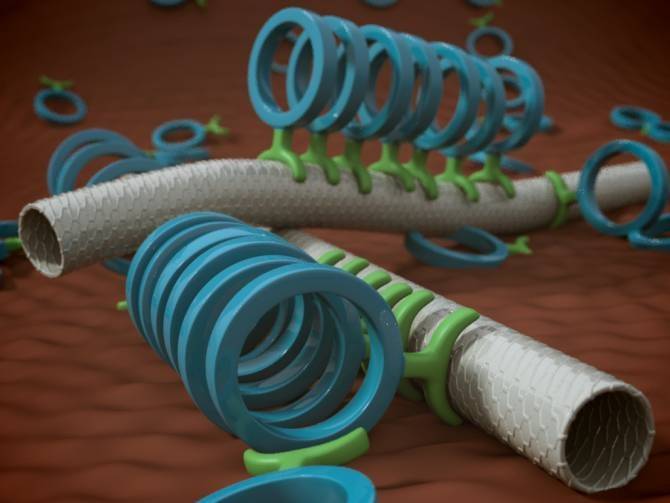 Acoplan por primera vez nanotubos de carbono y peptídicos