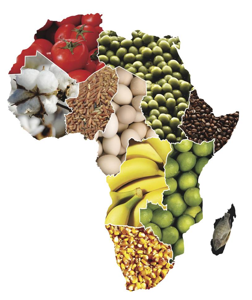 África podrá alimentarse sola en el plazo de una generación