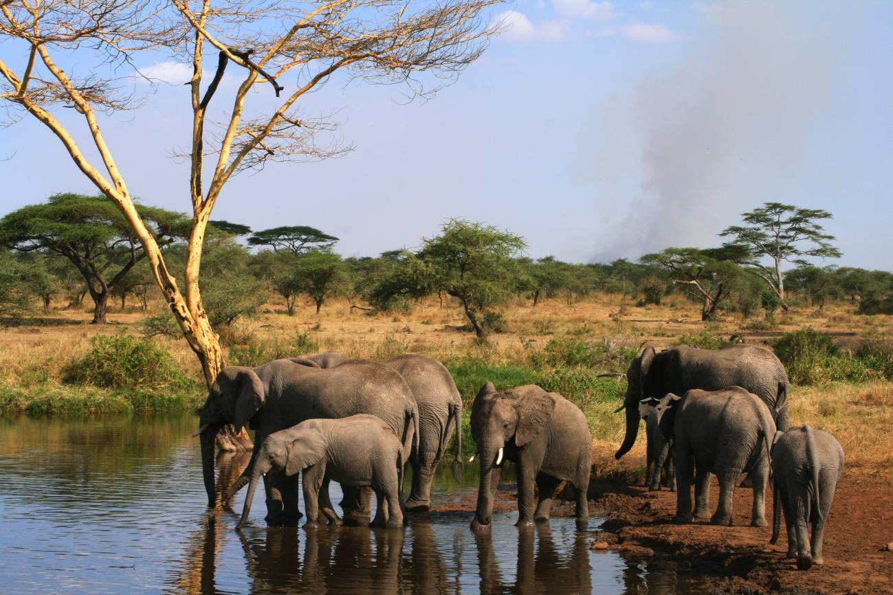 Aprueban el ‘IPCC de la biodiversidad'