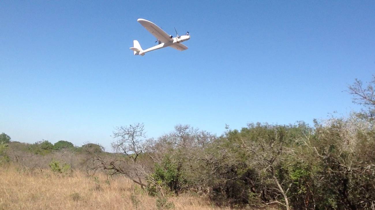 Uno de los aviones utilizados. / CSIC