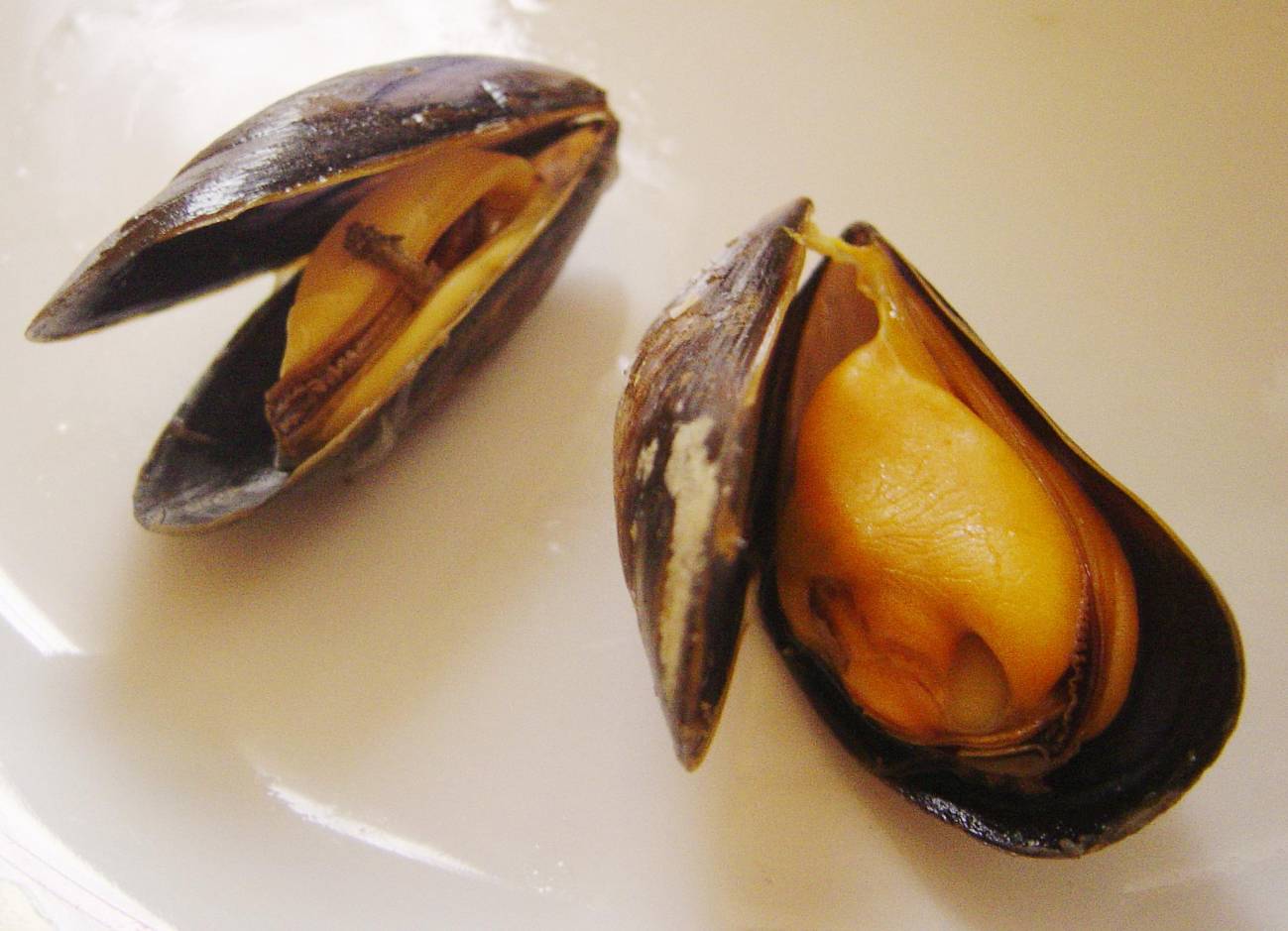 Mejillones cocidos. / Wikipedia