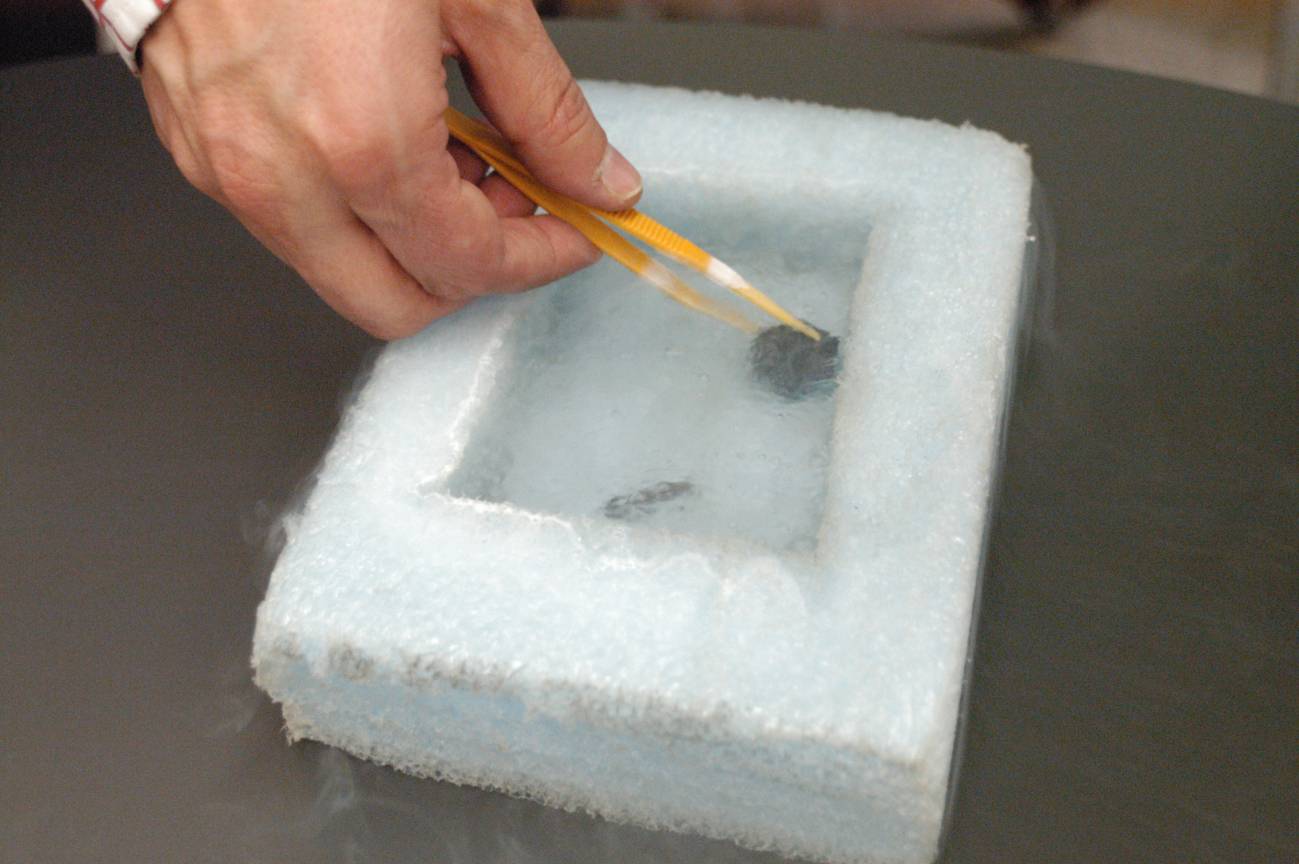 Cable superconductor