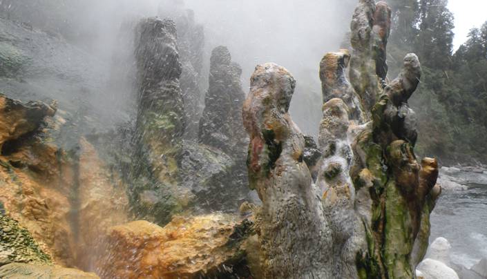 Ciencia para proteger el tesoro natural de Huinay
