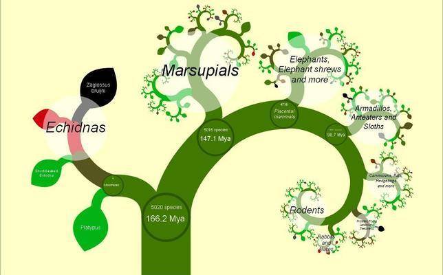 Crean el primer árbol de la vida digital