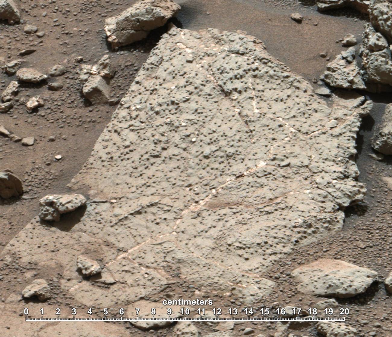 Curiosity encuentra elementos que pudieron sustentar la vida en Marte