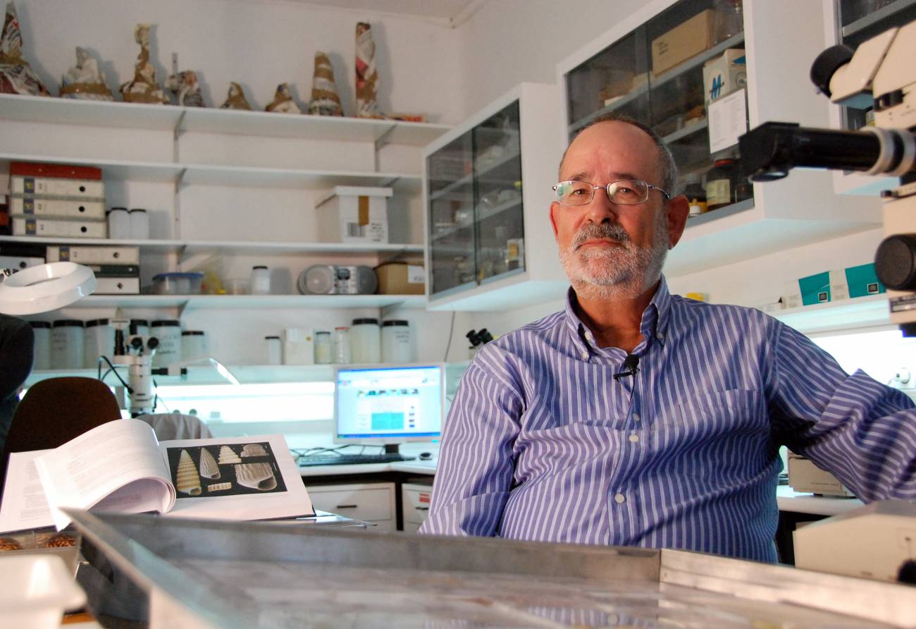 De coleccionistas a investigadores ‘amateur’