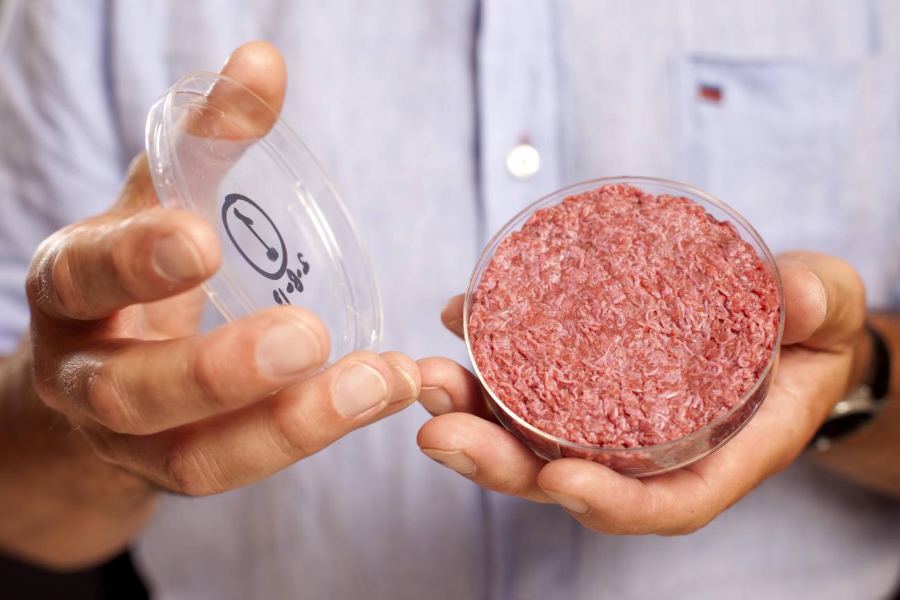 Degustan la primera hamburguesa creada en laboratorio