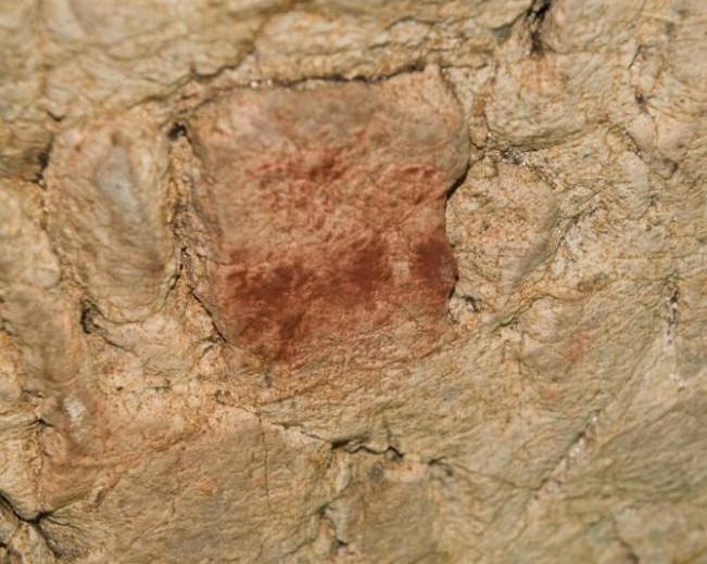 Motivo pictórico de la cueva de El Buxu. Imagen: Antonio Hernanz.