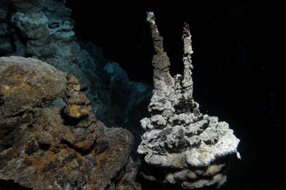 Descubierto el eslabón perdido en la evolución de las células complejas