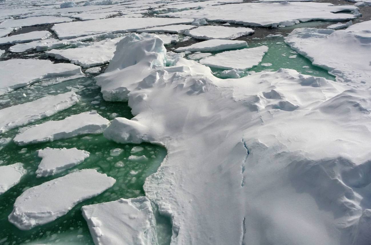 Durante el invierno ártico al norte de Canadá, los investigadores descubrieron que las arqueas utilizan un atajo para obtener el amonio que necesitan. Imagen: CSIC. 