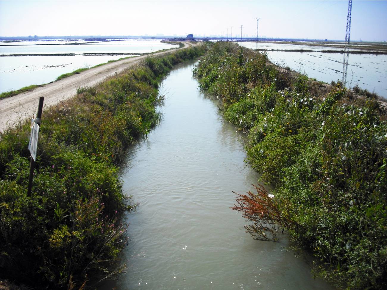 Detectan cocaína y éxtasis en las aguas de la Albufera de Valencia
