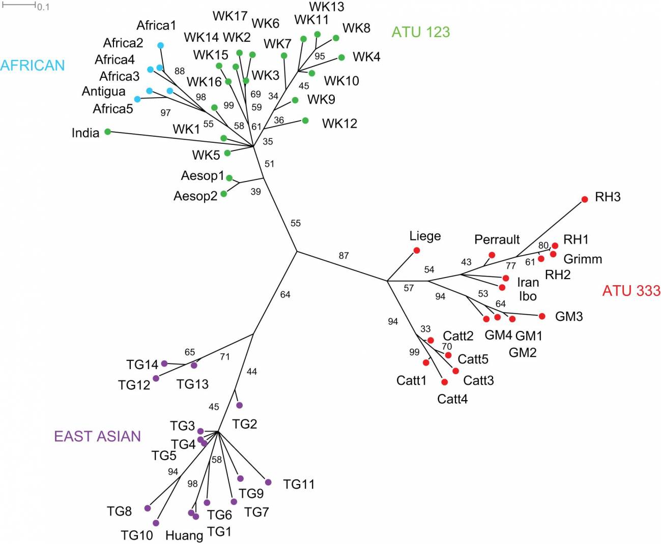 El árbol evolutivo de Caperucita Roja 