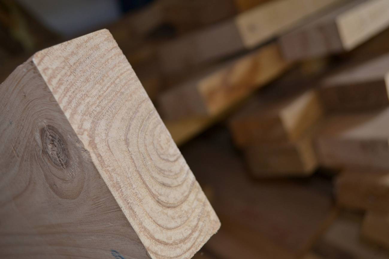 El castaño será la primera madera noble española certificada para uso estructural