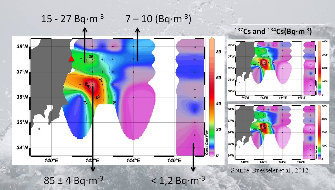 El estroncio radiactivo aumentó cien veces sus niveles tras el accidente de Fukushima