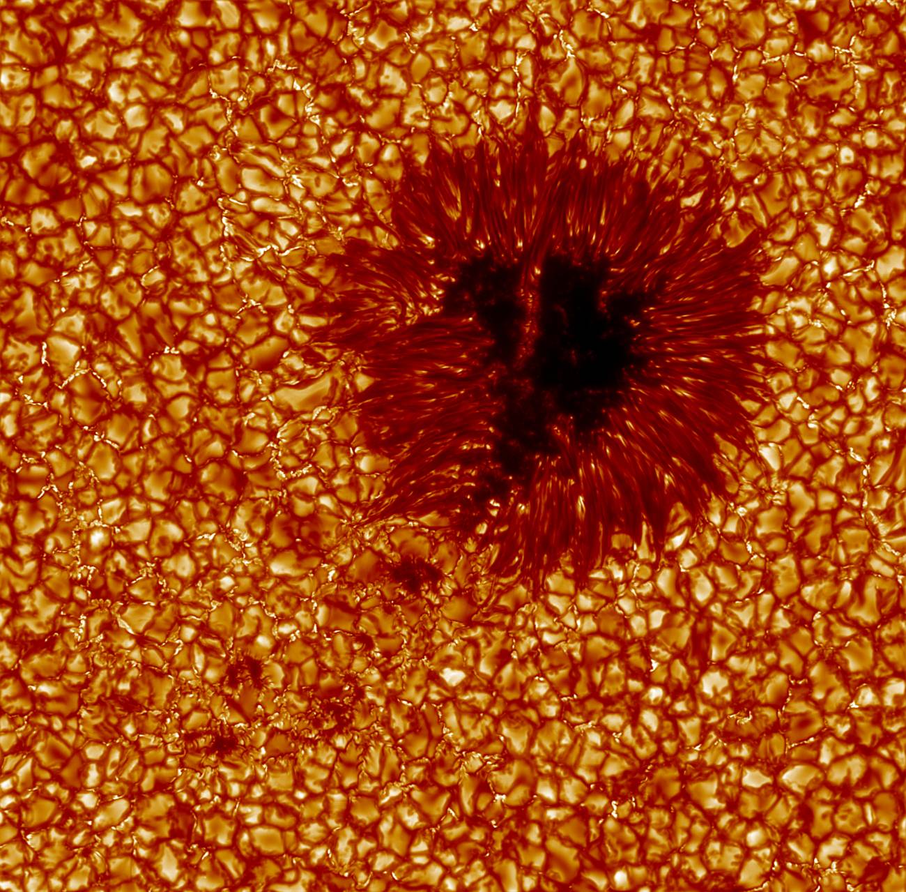 El flujo de gases calientes y fríos origina los núcleos oscuros de las manchas solares