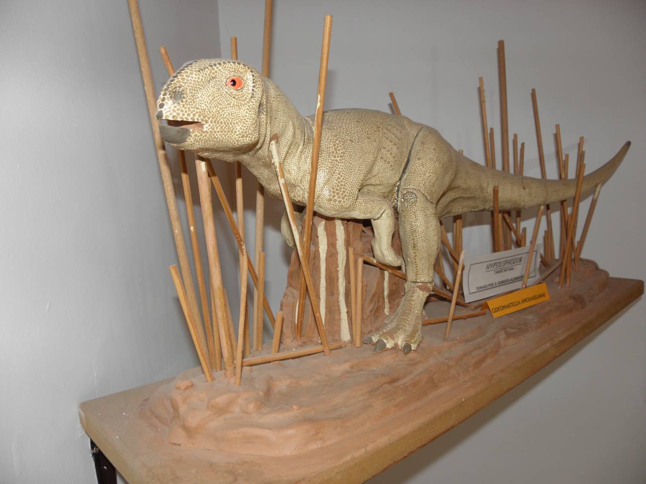 Reconstrucción de Gideonmantellia en el Museo de Galve. Imagen: José Manuel Gasca / Aragosaurus. 