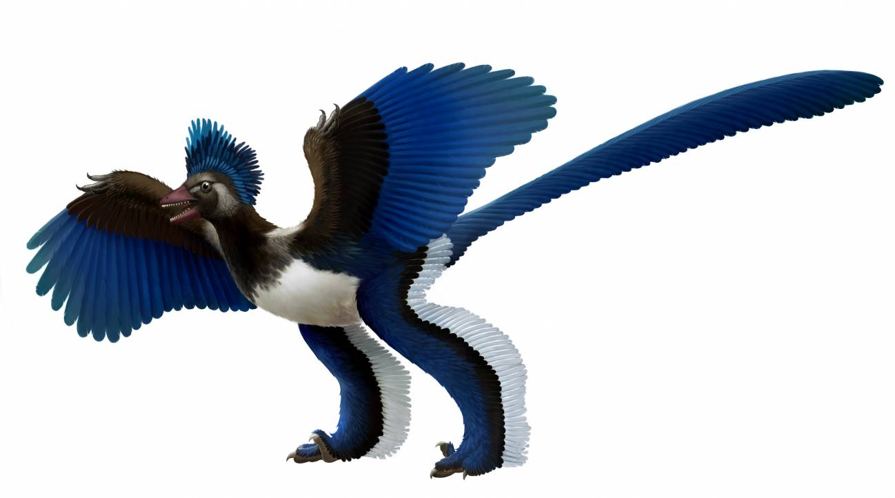 ¿El nuevo ancestro de las aves modernas?
