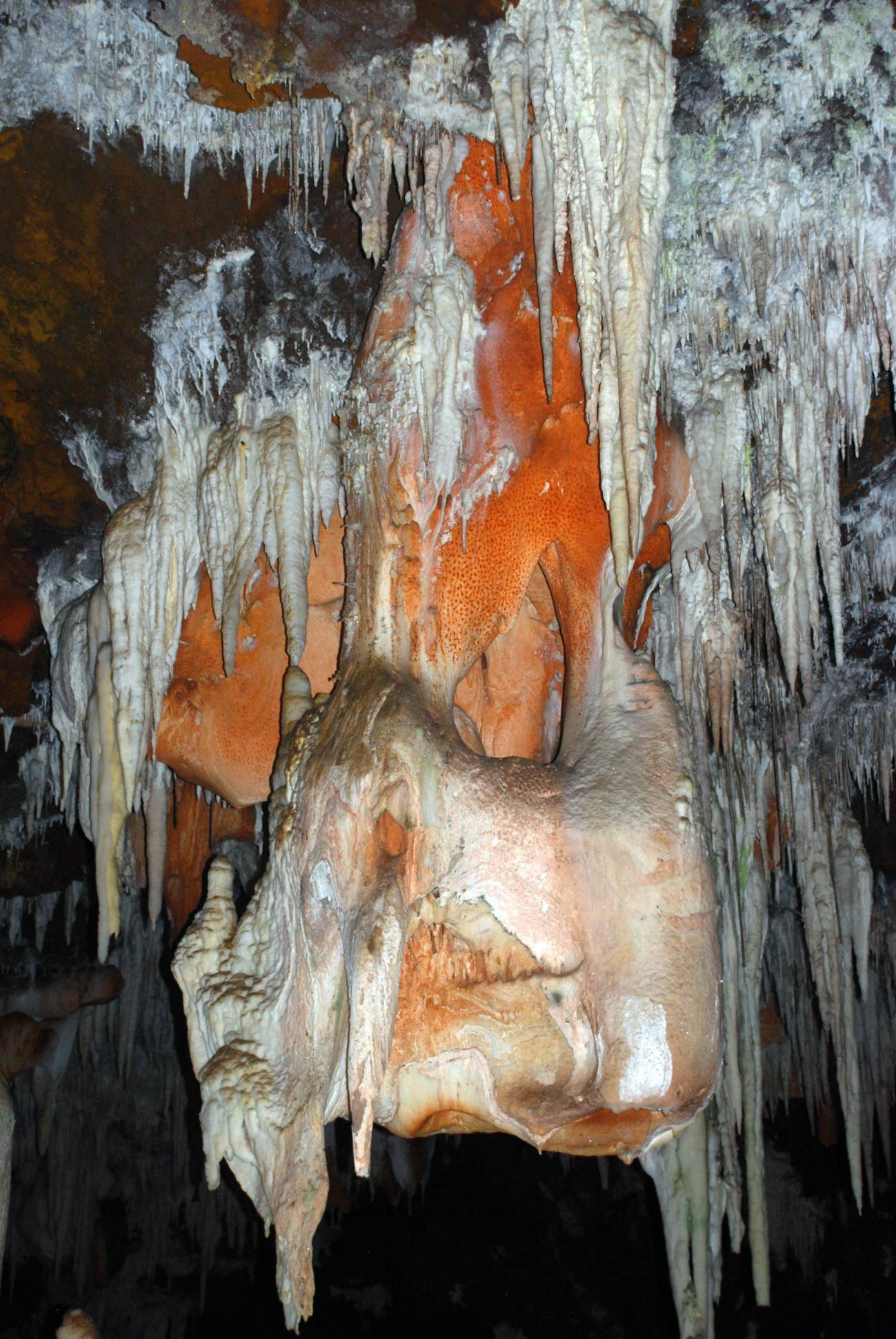 El turismo no perjudica a todas las cuevas