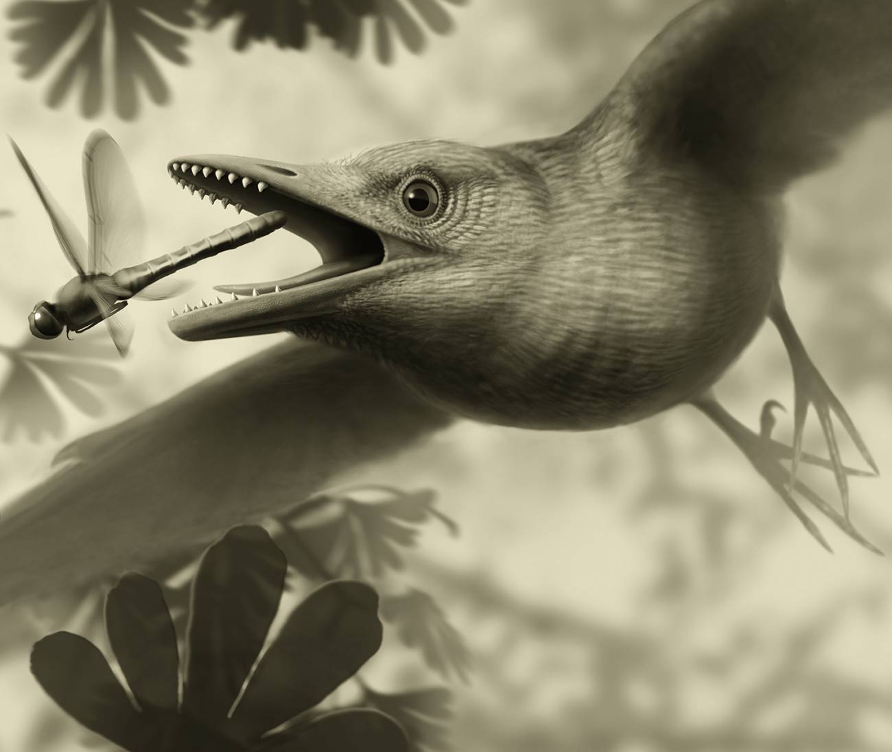 El vuelo de las aves primitivas era similar al de las actuales