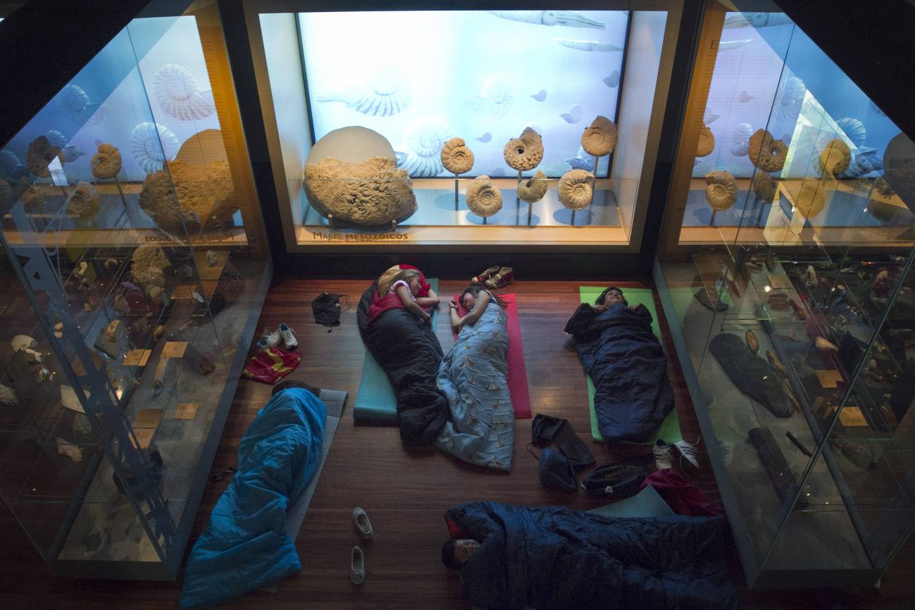 Cada viernes, dos grupos de niños entre 8 y 12 años llevan sus sacos y esterillas hasta el Museo Nacional de Ciencias Naturales de Madrid. / SINC