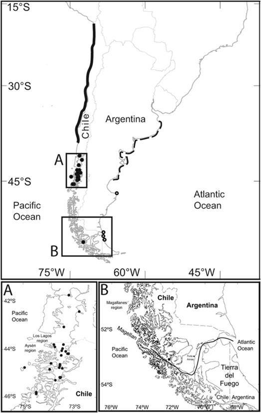 Fig. 2: Distribución de delfines mulares en el Sureste del Pacífico a lo largo de la costa chilena (representado mediante línea continua).