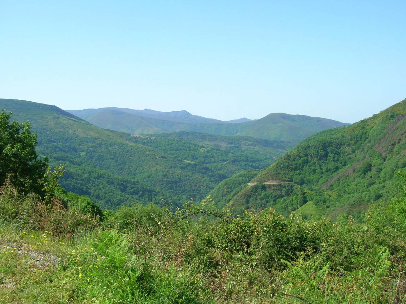 La UE propone reorganizar de forma radical las políticas sobre la protección de la biodiversidad 