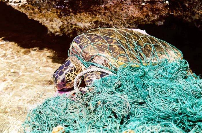 La amenaza de la pesca fantasma