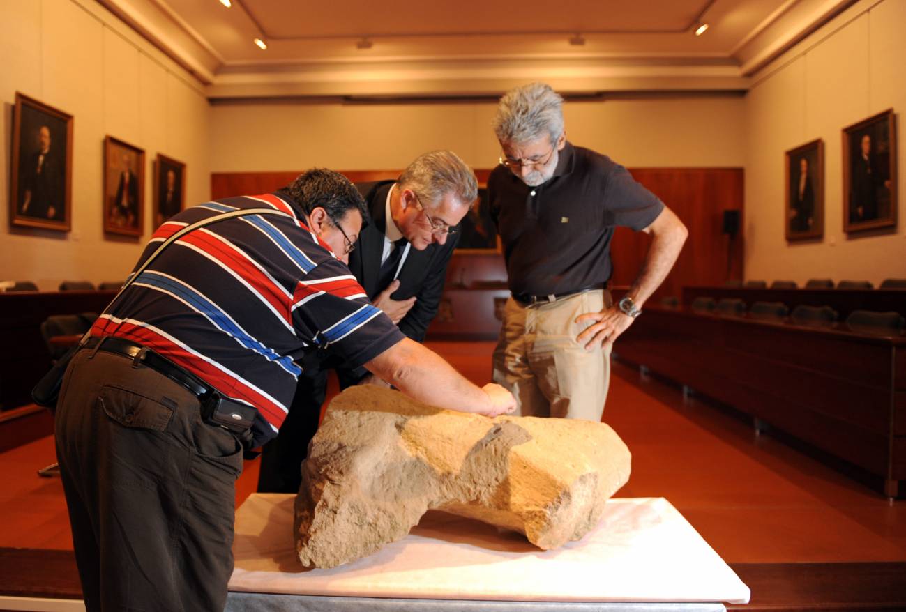 Hallan en Aragón una escultura de animal de la época íbera