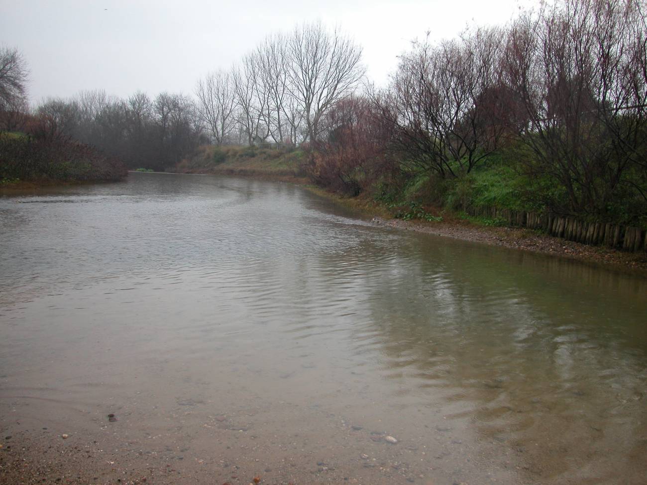 Hallan sustancias farmacológicas en las aguas de Doñana