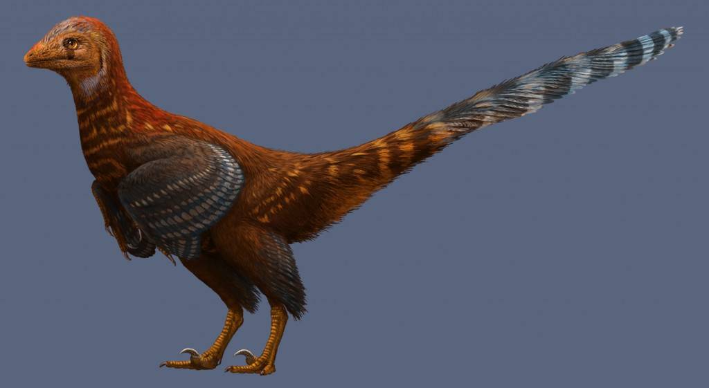 Hallan un nuevo dinosaurio parecido a un pájaro y con plumas modernas